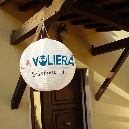 La Voliera Bed & Breakfast Pisa Exterior foto